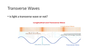 Transverse Waves
• Is light a transverse wave or not?
 