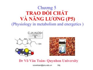 Chương 5  TRAO ĐỔI CHẤT  VÀ NĂNG LƯƠNG (P5) (Physiology in metabolism and energetics ) Dr Võ Văn Toàn- Quynhon University 