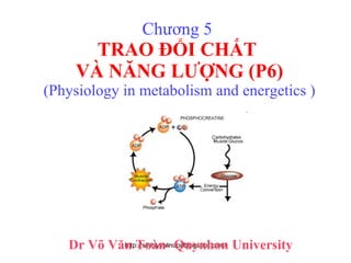 Chương 5  TRAO ĐỔI CHẤT  VÀ NĂNG LƯỢNG (P6) (Physiology in metabolism and energetics ) Dr Võ Văn Toàn- Quynhon University 