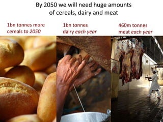 Why invest in livestock-based options for livelihoods, healthy lives and a sustainable environment?