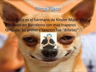 Pimp Flaco
Pimp flaco es el hermano de Kinder Malo. Ellos
dos viven en Barcelona con mas traperos
famosos. Su primera canción fue “Billetes”:
 