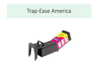 Trap-Ease America
 