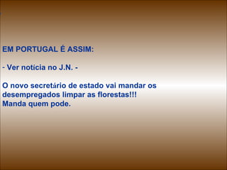 EM PORTUGAL É ASSIM: Ver not í cia no J.N. -  O novo secret á rio de estado vai mandar os  desempregados limpar as florestas!!! Manda quem pode. En Portugal é assim... . En Portugal é assim... a 