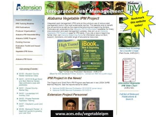 www.aces.edu/vegetableipm
 