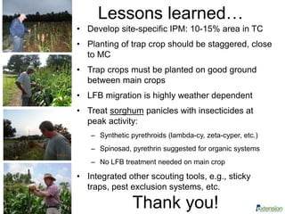 Lessons learned…
• Develop site-specific IPM: 10-15% area in TC
• Planting of trap crop should be staggered, close
to MC
• Trap crops must be planted on good ground
between main crops
• LFB migration is highly weather dependent
• Treat sorghum panicles with insecticides at
peak activity:
– Synthetic pyrethroids (lambda-cy, zeta-cyper, etc.)
– Spinosad, pyrethrin suggested for organic systems
– No LFB treatment needed on main crop
• Integrated other scouting tools, e.g., sticky
traps, pest exclusion systems, etc.
Thank you!
 
