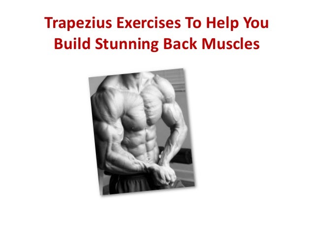 Trapezius Exercises To Help You Build Stunning Back Muscles
