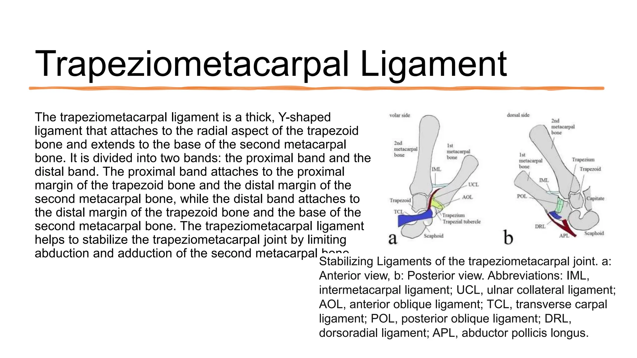 スカート m me eme Lameribbon trapizoid miniskirt m me eme Lameribbon trapizoid miniskirt