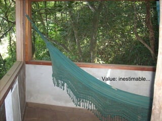 Trapizonga
