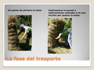 Un panno da portare in testa   Inclinazione in avanti e
                               sollevamento (talvolta si fa una
                               nicchia per posare la testa.




La fase del trasporto
 