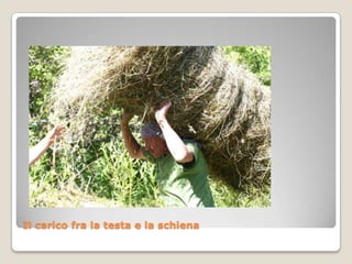 Il carico fra la testa e la schiena
 