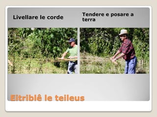 Tendere e posare a
Livellare le corde   terra




Eitriblê le teileus
 