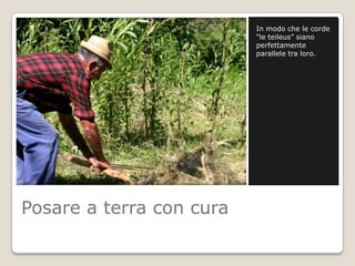 In modo che le corde
                          “le teileus” siano
                          perfettamente
                          parallele tra loro.




Posare a terra con cura
 