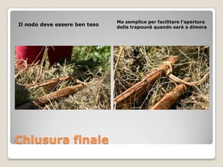 Ma semplice per facilitare l’apertura
Il nodo deve essere ben teso   della trapounâ quando sarà a dimora




Chiusura finale
 