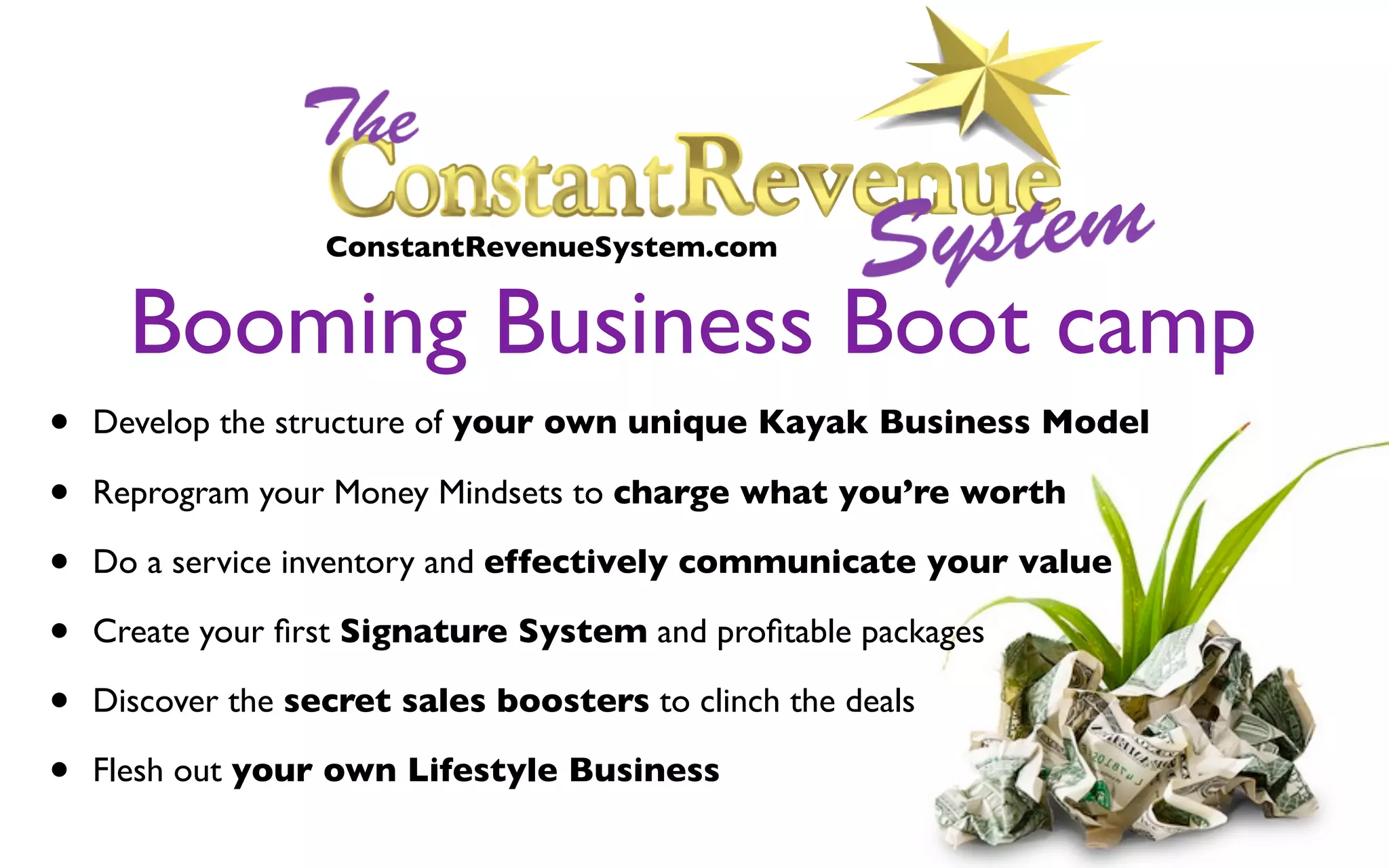 Booming Business Boot camp
ConstantRevenueSystem.com
• Develop the structure of your own unique Kayak Business Model
• Reprogram your Money Mindsets to charge what you’re worth
• Do a service inventory and effectively communicate your value
• Create your ﬁrst Signature System and proﬁtable packages
• Discover the secret sales boosters to clinch the deals
• Flesh out your own Lifestyle Business
 