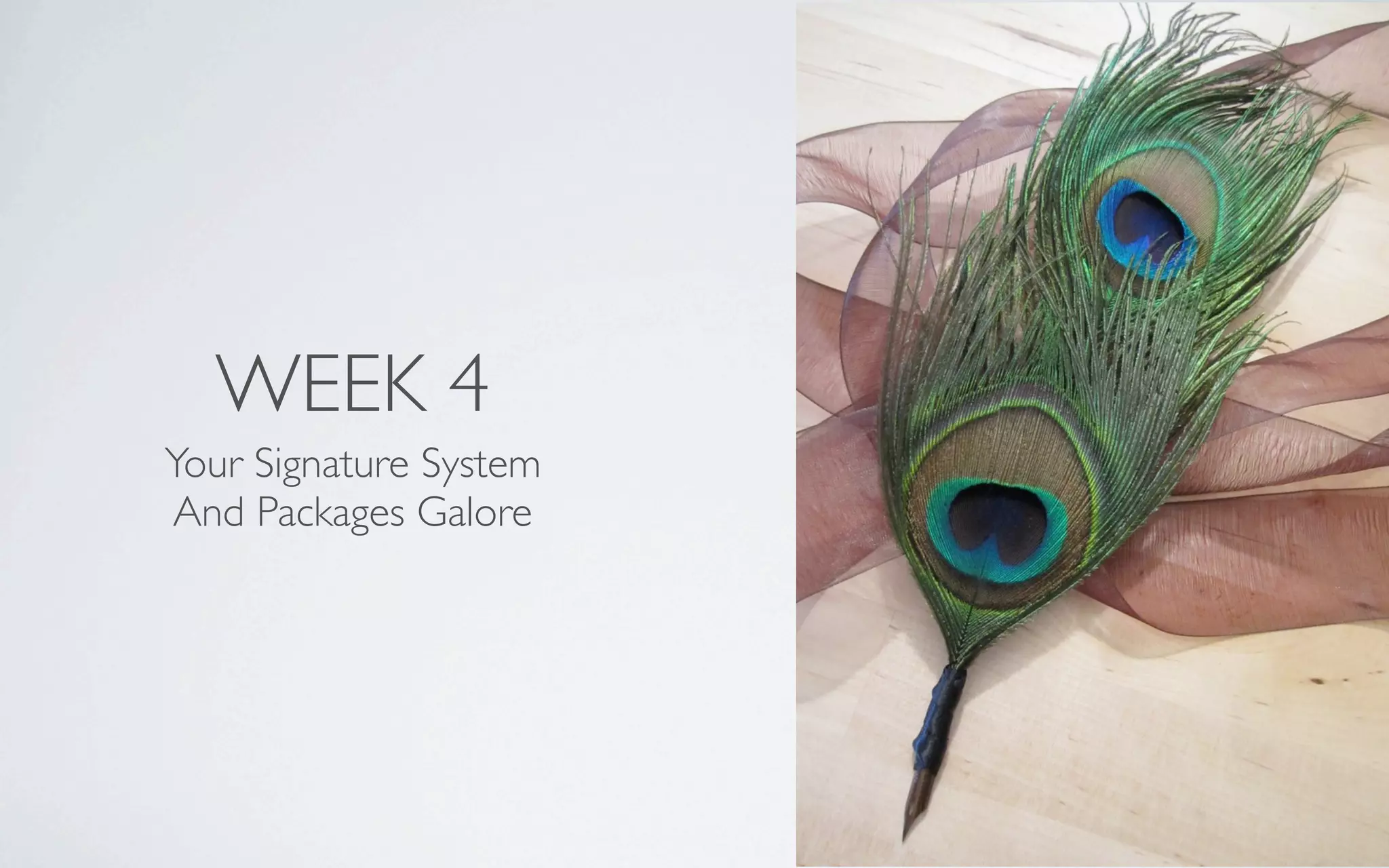 WEEK 4
Your Signature System
And Packages Galore
 
