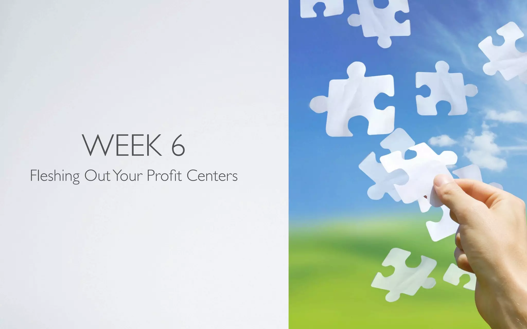 WEEK 6
Fleshing OutYour Proﬁt Centers
 