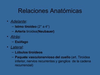 Relaciones Anatómicas Adelante : Istmo tiroideo  (2° a 4°) Arteria  tiroidea( Neubauer) Atrás : Esófago Lateral : Lóbulos tiroideos Paquete vasculonervioso del cuello  (art. Tiroidea inferior, nervios recurrentes y ganglios  de la cadena recurrencial)  
