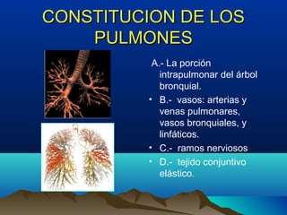 CONSTITUCION DE LOSCONSTITUCION DE LOS
PULMONESPULMONES
A.- La porción
intrapulmonar del árbol
bronquial.
• B.- vasos: arterias y
venas pulmonares,
vasos bronquiales, y
linfáticos.
• C.- ramos nerviosos
• D.- tejido conjuntivo
elástico.
 