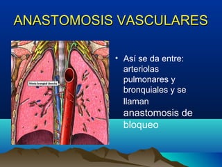 ANASTOMOSIS VASCULARESANASTOMOSIS VASCULARES
• Así se da entre:
arteriolas
pulmonares y
bronquiales y se
llaman
anastomosis de
bloqueo
 