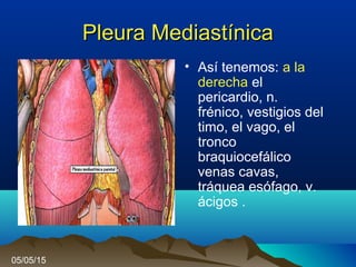 Pleura MediastínicaPleura Mediastínica
• Así tenemos: a la
derecha el
pericardio, n.
frénico, vestigios del
timo, el vago, el
tronco
braquiocefálico
venas cavas,
tráquea esófago, v.
ácigos .
05/05/15
 