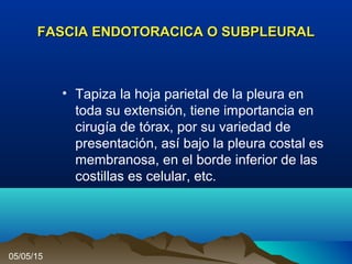 FASCIA ENDOTORACICA O SUBPLEURALFASCIA ENDOTORACICA O SUBPLEURAL
• Tapiza la hoja parietal de la pleura en
toda su extensión, tiene importancia en
cirugía de tórax, por su variedad de
presentación, así bajo la pleura costal es
membranosa, en el borde inferior de las
costillas es celular, etc.
05/05/15
 