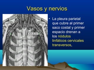 Vasos y nerviosVasos y nervios
• La pleura parietal
que cubre al primer
saco costal y primer
espacio drenan a
los nódulos
linfáticos cervicales
transversos,
 