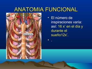 ANATOMIA FUNCIONALANATOMIA FUNCIONAL
• El número de
inspiraciones varía:
así: 16 x’ en el día y
durante el
sueño12x’.
• .
 