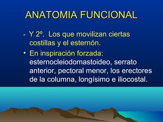 ANATOMIA FUNCIONALANATOMIA FUNCIONAL
- Y 2º. Los que movilizan ciertas
costillas y el esternón.
• En inspiración forzada:
esternocleiodomastoideo, serrato
anterior, pectoral menor, los erectores
de la columna, longísimo e iliocostal.
 