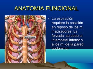 ANATOMIA FUNCIONALANATOMIA FUNCIONAL
• La espiración
requiere la posición
en reposo de los m.
inspiradores. La
forzada se debe al
intercostal interno y
a los m. de la pared
abdominal.
 