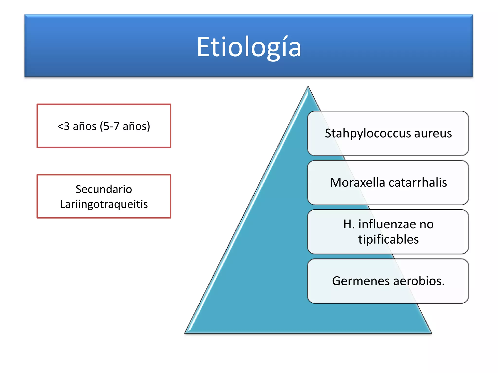 Traqueitis Traqueitis bacteriana | PPTX