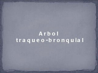 Arbol traqueo-bronquial 