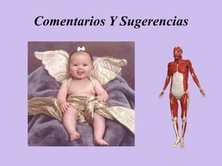 Comentarios Y Sugerencias
 