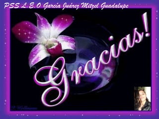 PSS L.E.O García Juárez Mitzel Guadalupe
 