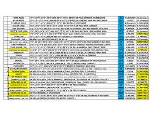 STAR PLUS 13"1"- 25"1"- 37"4"- 49"4" (800) 63"1"/ 76"3"// 92"2"/// EN PELO COMODA Y EXCELENTE 12 Y.CAGUADO CL.Uzcategui
STAR WHITE 15"4"- 29- 42"3"- 54"4" (800) 68/ 81"2"// 97"2"/// EN SILLA COMODO Y SIN HACERLE NADA 12"1" J.LUGO CL.Uzcategui
STARSHIP GOLD 16"4"- 30"1"- 43"3" (600) 57"2"/ 70"2"// 85/// EN PELO CONTENIDA 13"2" M.Romero.Q D.PALENCIA
SUGAR CANE 16"2"- 29"2"- 42"4"- 55"2"- 67"2" (1000) 81"2"/ 95"4"// EN PELO MUY COMODA 12 R.CAPRILES F.Parilli.Tota
SUN CLASSIC 17"3"- 31"2"- 44"2" (600) 57"4"/ 71// 84"3"// 98"3"//// EN PELO COMODO Y MUY BIEN DESPUES DE LA RAYA 13 P.NAREA R.GARCIA.M
TAPIT"S TALE (USA) 13"4"- 26"4"- 38"4"- 51"1" (800) 64"2"/ 77"3"// 93"3"/// EN SILLA MUY BIEN Y SIN HACERLE NADA 12"2" W.VELIZ CL.Uzcategui
THE EXQUISITE GIRL (USA) (2V) 14"3"- 27"4"- 40"3"- 52"4" (800) 65"3"/ 79"2"// 96/// EN SILLA COMODA, SIN HACERLE NADA Y MUY BIEN 12"1" L.MEJIAS I.MARTINEZ
TIA FELIPA 16"1"- 29"4"- 43"1" (600) 56/ 69// 82"4"/// EN PELO CONTENIDA 13"2" L.ALTUVE F.PARILLI
TIANSHAN ( -GR ) (APARATO)= RECONOCIMIENTO EN SILLA ##### EDW.Jaramillo R.Cartolano
TIME REPORT (2V) ( -GR-BB ) 17"1"- 32- 45"4"- 57"4"- 69"4" (1000) 81"4"/ 94"3"// 108"2"/// 125"3"//// EN PELO COMODO Y MUY BIEN 12 A.FINOL I.MARTINEZ
TIME TRAVELER 17"3"- 31"2"- 43"2" (600) 56"2"/ 70"3"// 84"3"/// 99"1"//// EN PELO COMODO Y ANIMADO DESPUES DE LA RAYA 12 L.TOVAR R.GARCIA.M
TRES ROSAS ( 2V ) 19"4"- 31"4"- 43"2" (700) 56"4"/ 70"3"// 85"3"/// EN SILLA ANIMADA, PALETEADA Y BIEN 11"3" L.MEJIAS L.PERAZA
UNIVERSAL JOY (USA) (2V) 16- 29"2"- 41"3"- 53"2" (800) 65"4"/ 78"2"// 92"3"/// 108//// EN SILLA ANIMADA Y VOLANDO AL FINAL 11"4" L.MEJIAS L.PERAZA
VINANDUH 15"1"- 29- 41"3"- 54"2"- 66"3" (1000) 80/ 93"2"// 108"4"/// EN SILLA COMODO Y MUY BIEN 12"1" R.CAPRILES R.GARCIA.M
VISION 16"4"- 31- 45"2"- 58"2"- 72"1" (1000) 86/ 101"1"// 116"4"/// EN SILLA COMODO 13"4" R.CAPRILES O.OVIEDO.C
WINTER WONDERLAND 17"4"- 31- 44"4" (600) 58"1"/ 71"3"// 84"3"/// EN PELO COMODA 13"4" L.TOVAR R.GARCIA.M
ZADKIEL 15"1"- 28"2"- 40"4"- 53"2" (800) 66"1"/ 79"3"// 94"4"/// EN SILLA COMODO Y SIN HACERLE NADA 12"3" A.SISO CL.Uzcategui
ZIO GIACCOF 18"1"- 35"4"- 50"1"- 64- 76"4" (1000) 90"3"/ 103"2"// EN PELO MUY COMODO 12"4" Y.DIAZ R.GARCIA.M
ZUCCHERO 16"3"- 30- 42"4" (600) 54"2"/ 69"2"// 83"1"/// EN PELO COMODO Y MUY BIEN 12"4" G.FLORES F.Parilli.Tota
CATIRA PESHOSHA (APARATO)= 24"4"- 37"1"- 49"1" (800) 62"4"/ 77"3"// 93"2"/// 109"2"//// EN SILLA SALIO AL TIRO Y COMODA AL FINAL 12 K.BRICEÑO A.TRAVERSA
TIZ ERIN (USA) EN SILLA SALIO AL TIRO Y ANIMADA AL FINAL ( PERDIO POR - 1 CUERPO ) ##### Y.COA Y.CARVAJAL
AGAPE EN SILLA SALIO AL TIRO Y MOVIDO AL FINAL ( PERDIO POR - 8 CUERPOS ) ##### J.C.Rodriguez A.TRAVERSA
TOP WOMAN TWO (APARATO)= 24"1"- 36"1"- 48"2" (800) 62"1"/ 77"3"// 92"4"/// E/S SALIO AL TIRO Y FENOMENA AL FINAL ( H. DEAN"S LIST 2A ) 12"1" J.ARAY A.CAMPOS
CHAMUEL ( +GR ) EN SILLA SALIO AL TIRO Y ANIMADO ( PERDIO POR - 5 CUERPOS SE LE RODO LA SILLA ) ##### Y.COA A.CAMPOS
NORA MIA (H) 2A EN SILLA SALIO AL TIRO, CARGO AFUERA Y COMODA AL FINAL ( PERDIO POR - 15 CUERPOS ) ##### C.BRITO A.CAMPOS
LAKSHMI AND ME (H) 3A 13"3"- 25"4"- 38"4" (600) 51"4"/ 66"1"// 80"3"/// EN PELO ANIMADA 13 FEL.Velasquez Y.CARVAJAL
GRAN ESTEFANIA (H) 3A EN PELO ANIMADA ( PERDIO POR - 1 CUERPO ) ##### P.CORONIL Y.CARVAJAL
BONELL BONELL ( -GR ) 17"1"- 31"3"- 44"4" (600) 58"2"/ 72"3"// 88"2"/// EN PELO COMODO 13"1" F.MONTILLA I.MARTINEZ
OCCITANIE (H) 2A EN PELO ANIMADA Y APAREADOS ##### FEL.Velasquez I.MARTINEZ
LIDO DI VENEZIA (H) 3A (2V) 18"2"- 31"3"- 43"4"- 55"4"- 67"4" (1000) 80"3"/ 95"2"// 113/// EN SILLA COMODA Y MUY BIEN 12 L.MEJIAS I.MARTINEZ
GREAT GABRIEL ( -GR ) (2V) EN SILLA COMODO ( PERDIO POR MEDIO CUERPO ) ##### R.RONDON I.MARTINEZ
 