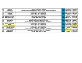 10D DE NENE 1 VUELTA EN SILLA DE GALOPE ##### R.RONDON D.PALENCIA
7D DON MARIO (APARATO)= RECONOCIMIENTO Y LUEGO 1 VUELTA DE GALOPE EN PELO ##### L.MENDOZA R.GARCIA.M
2D GRAN VICTORIOSO 2 VUELTAS EN SILLA DE GALOPE ##### J.OROPEZA JC.Garcia,M
3D INVADER 2 VUELTAS EN SILLA DE GALOPE ##### R.RONDON R.CALDEIRA
10D LA SUPER KAT 2 VUELTAS EN SILLA DE GALOPE ##### A.YBARRA R.LANZ
12D MAXIMUS FORTUNE 2 VUELTAS EN SILLA DE GALOPE ##### O.RIVAS MA.PEREZ
10D MISS BUENA VISTA 1 VUELTA EN SILLA DE GALOPE ##### F.Puello.JR J.Romero.R
7D MR. THUNDER 2 VUELTAS EN SILLA DE GALOPE ##### R.RONDON D.Fernandez
9D NAVEGANTE (APARATO)= RECONOCIMIENTO EN PELO ##### F.MONTILLA J.SANCHEZ
12D PATRILEY 1 VUELTA EN PELO DE TROTE EN SENTIDO CONTRARIO ##### P.OROZCO JC.Garcia.M
10D QUALITY PRINCESS 2 VUELTAS EN SILLA DE GALOPE ##### J.C.Rodriguez JG.Rodriguez
7D RAFIKI 2 VUELTAS EN SILLA DE GALOPE ##### J.ANDARCIA W.SANCHEZ
5D REY DE CORAZONES 2 VUELTAS EN SILLA DE GALOPE ##### M.Romero.Q G.ROJAS
11D STRIDING MOON 2 VUELTAS EN SILLA DE GALOPE ##### L.MEJIAS D.Fernandez
12D SUANFONSON 1 VUELTA EN PELO DE TROTE EN SENTIDO CONTRARIO ##### L.Funez.JR G.Larenguina
6D SUGAR CANE 2 VUELTAS DE GALOPE CON UN PONY A SU LADO ##### F.Parilli.Tota
12D TANK ABBOTT 1 VUELTA EN SILLA DE GALOPE ##### J.PARRA R.Aleman.JR
 