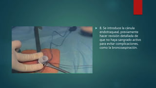  8. Se introduce la cánula
endotraqueal, previamente
hacer revisión detallada de
que no haya sangrado activo
para evitar complicaciones,
como la broncoaspiración.
 