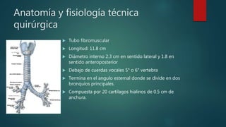 Anatomía y fisiología técnica
quirúrgica
 Tubo fibromuscular
 Longitud: 11.8 cm
 Diámetro interno 2.3 cm en sentido lateral y 1.8 en
sentido anteroposterior
 Debajo de cuerdas vocales 5° o 6° vertebra
 Termina en el angulo esternal donde se divide en dos
bronquios principales.
 Compuesta por 20 cartílagos hialinos de 0.5 cm de
anchura.
 