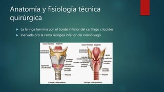 Anatomía y fisiología técnica
quirúrgica
 La laringe termina con el borde inferior del cartílago cricoides
 Inervada pro la rama laríngea inferior del nervio vago
 