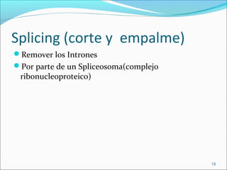 Splicing (corte y empalme)
Remover los Intrones
Por parte de un Spliceosoma(complejo
ribonucleoproteico)
13
 