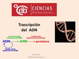 Trascripción
del ADN
Profesora
Andrea Soto García
 