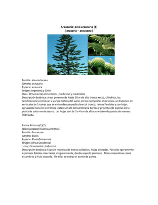 Araucaria: pino araucaria (1)
                                    ( aracaria – araucana )




Familia: araucariacaea
Genero: araucaria
Especie: araucara
Origen: Argentina y Chile
Usos: Ornamental,alimenticios ,medicinal y maderable
Descripción botánica: árbol perenne de hasta 50 m de alto tronco recto, cilíndrico, las
ramificaciones comiezan a varios metros del suelo, en los ejemplares más viejos, se disponen en
verticales de 5 ramas que se extienden perpediculares al tronco, ramas flexibles y con hojas
agrupadas hacia los extremos .estan son de extraordinaria duresa y provistas de espinas en la
punta de color verde oscuro. Las hojas son de 3 a 4 cm de altura y estasn dispuesta de manera
imbricada.


Palma Africana(1)(2)
(ElaeisjacgJacg) ElaeisGuineensis)
Familia: Arecaceae
Genero: Elaeis
Especie: ElaeisGuineensis
Origen: Africa Occidental
 Usos: Ornamental , Industrial
Descripción botánica: Especie monoica de tronco solitarios, hojas pinnadas. Peciolos ligeramente
espinosos foliolos insertados irregularmente, dando aspecto plumoso , flores masculinas con 6
estambres y fruto oovoide. De ellas se extrae el aceite de palma .
 