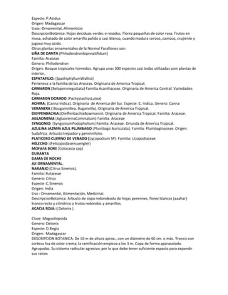 Especie: P.Acidus
Origen: Madagascar
Usos: Ornamental, Alimenticio
DescrpcionBotanica: Hojas deciduas verdes o rosadas. Florez pequeñas de color rosa. Frutos en
masa, achatado de color amarillo palido o casi blanco, cuando madura ceroso, camoso, crujiente y
jugoso muy acido.
Otras plantas ornamentales de la Normal Farallones son:
UÑA DE DANTA (Philodendronbipnnatifidum)
Familia: Araceae
Genero: Philodendron
Origen: Bosque tropicales húmedos. Agrupa unas 300 especies casi todas utilizadas com plantas de
interior.
ESPATAFILIO: (SpathiphyllumWallisii)
Pertenece a la familia de las Araceas. Originaria de America Tropical.
CAMARON (Beloperoneguttata) Familia Acanthaceae. Originaria de America Central. Variedades:
Roja.
CAMARON DORADO (PachystachysLutea)
ACHIRA: (Canna Indica). Originaria de America del Sur. Especie: C. Indica. Genero: Canna
VERANERA ( Bougainvillea, Buganvilla). Originaria de America Tropical.
DIEFFENBACHIA:(DieffenbachiaBowmannii. Originaria de America Tropical. Familia: Araceae.
AGLAONEMA (AglaonemaCommatum) Familia: Araceae
SYNGONIO: (SyngoniumPodophyllum) Familia: Araceae. Oriunda de America Tropical.
AZULINA JAZMIN AZUL PLUMBAGO (Plumbago Auriculata). Familia: Plumbaginaceae. Origen:
Sudafrica. Arbusto trepador y perennifolio.
PLATICERO CUERNO DE VENADO (Lycopodium SP). Familia: Licopodiaceae
HELECHO :(Felicopsidasensuengler)
MOFAFA BORE (Colocasia spp)
DURANTA
DAMA DE NOCHE
AJI ORNAMENTAL.
NARANJO (Citrus Sinensis).
Familia: Rutaceae
Genero: Citrus
Especie :C.Sinensis
Origen: India
Uso : Ornamental, Alimentación, Medicinal.
DescripcionBotanica: Arbusto de copa redondeada de hojas perennes, florez blancas (aaahar)
tronco recto y cilíndrico y frutos redondos y amarillos.
ACACIA ROJA: ( Delonix ).

Clase: Maguoliopsida
Genero: Delonix
Especie: D.Regia
Origen: Madagascar
DESCRIPCION BOTANICA: De 10 m de altura aprox., con un diámetro de 60 cm. o más. Tronco con
corteza lisa de color crema; la ramificación empieza a los 3 m. Copa de forma aparasolada.
Agrupadas. Su sistema radicular agresivo, por lo que debe tener suficiente espacio para expandir
sus raíces
 