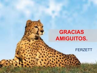 GRACIAS
AMIGUITOS.
      FERZETT
 
