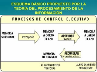 ESQUEMA BÁSICO PROPUESTO POR LA
 TEORÍA DEL PROCESAMIENTO DE LA
          INFORMACIÓN
 