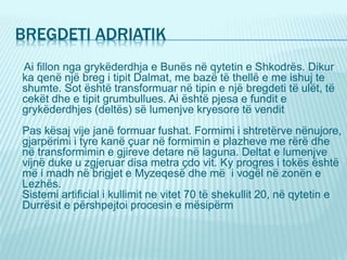 BREGDETI ADRIATIK
Ai fillon nga grykëderdhja e Bunës në qytetin e Shkodrës. Dikur
ka qenë një breg i tipit Dalmat, me bazë të thellë e me ishuj te
shumte. Sot është transformuar në tipin e një bregdeti të ulët, të
cekët dhe e tipit grumbullues. Ai është pjesa e fundit e
grykëderdhjes (deltës) së lumenjve kryesore të vendit
Pas kësaj vije janë formuar fushat. Formimi i shtretërve nënujore,
gjarpërimi i tyre kanë çuar në formimin e plazheve me rërë dhe
në transformimin e gjireve detare në laguna. Deltat e lumenjve
vijnë duke u zgjeruar disa metra çdo vit. Ky progres i tokës është
më i madh në brigjet e Myzeqesë dhe më i vogël në zonën e
Lezhës.
Sistemi artificial i kullimit ne vitet 70 të shekullit 20, në qytetin e
Durrësit e përshpejtoi procesin e mësipërm
 