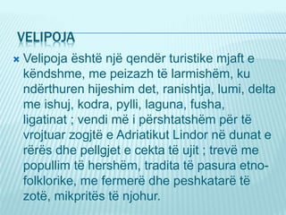 VELIPOJA
 Velipoja është një qendër turistike mjaft e
këndshme, me peizazh të larmishëm, ku
ndërthuren hijeshim det, ranishtja, lumi, delta
me ishuj, kodra, pylli, laguna, fusha,
ligatinat ; vendi më i përshtatshëm për të
vrojtuar zogjtë e Adriatikut Lindor në dunat e
rërës dhe pellgjet e cekta të ujit ; trevë me
popullim të hershëm, tradita të pasura etno-
folklorike, me fermerë dhe peshkatarë të
zotë, mikpritës të njohur.
 