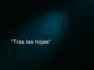 “ Tras las hojas“ 