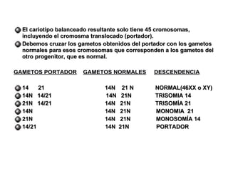 El cariotipo balanceado resultante solo tiene 45 cromosomas, incluyendo el cromosma translocado (portador). Debemos cruzar los gametos obtenidos del portador con los gametos normales para esos cromosomas que corresponden a los gametos del otro progenitor, que es normal. GAMETOS PORTADOR   GAMETOS NORMALES   DESCENDENCIA 14  21 14N  21 N   NORMAL(46XX o XY) 14N  14/21  14N  21N   TRISOMIA 14 21N  14/21 14N  21N   TRISOMÍA 21 14N 14N  21N  MONOMIA  21 21N 14N  21N  MONOSOMÍA 14 14/21  14N  21N  PORTADOR 