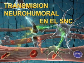 TRANSMISION  NEUROHUMORAL  EN EL SNC 