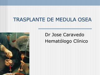 TRASPLANTE DE MEDULA OSEA Dr Jose Caravedo Hematólogo Clínico 